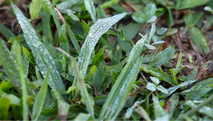 Foto: Geraldo Bubniak/AEN Com massa de ar polar, Paraná tem primeiras temperaturas negativas e recorde de frio no ano